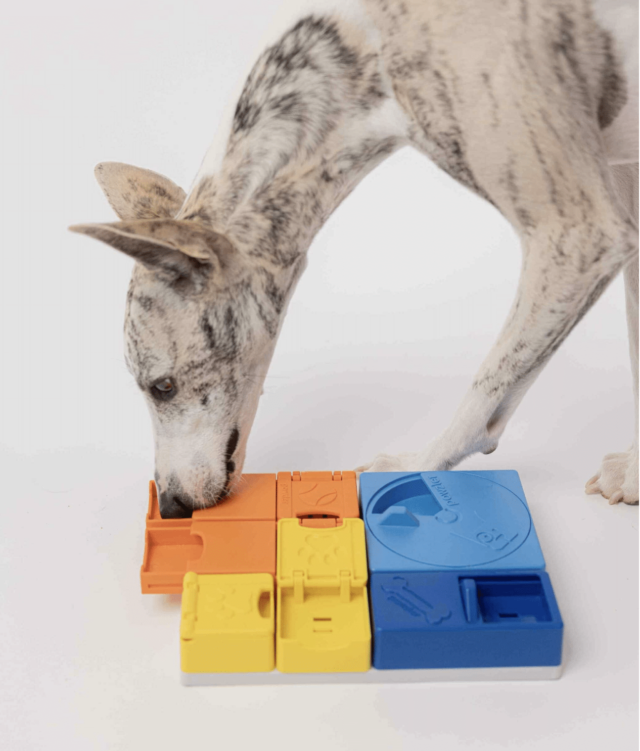 Jeu d'occupation Ensemble Arc en ciel - PAWZLER