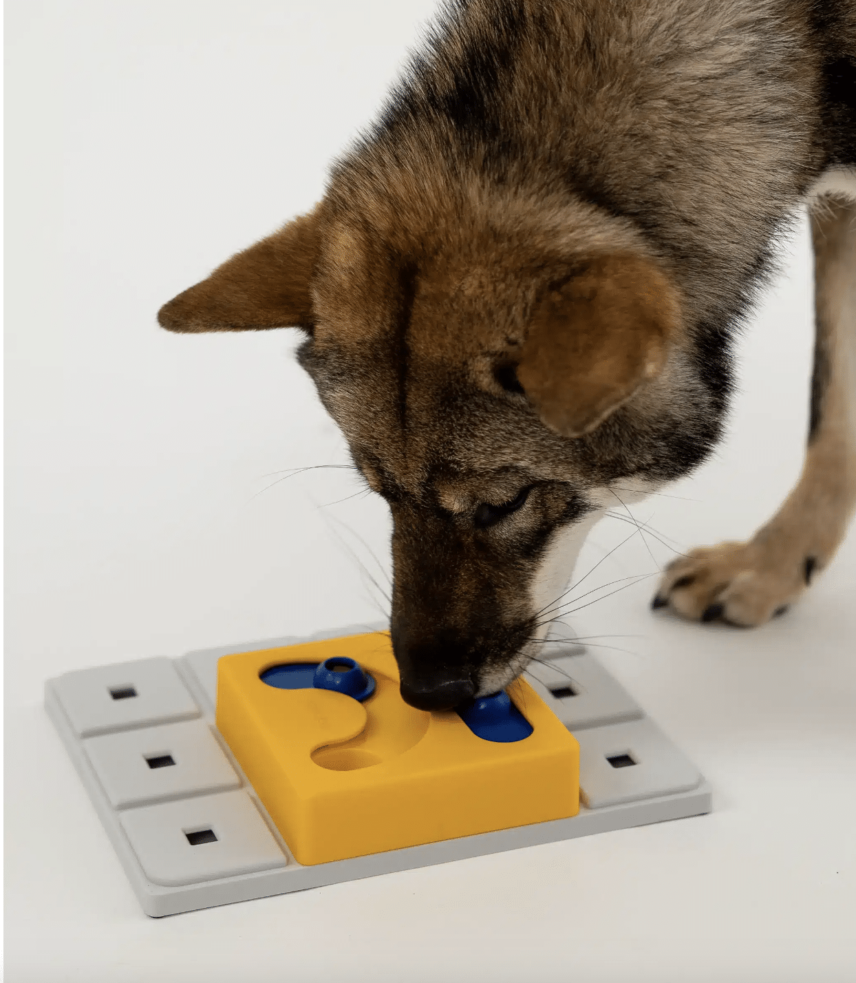 KAYA PAWZLE NIVEAU 2 _ PAWZLER