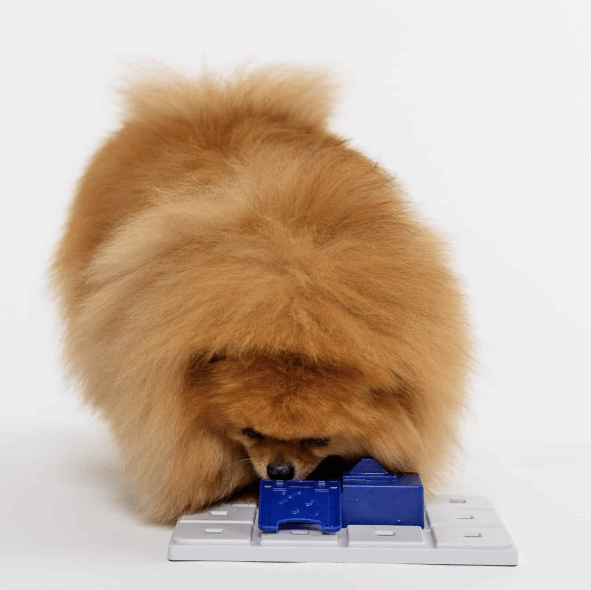 SELA PAWZLE NIVEAU 3_ PAWZLER