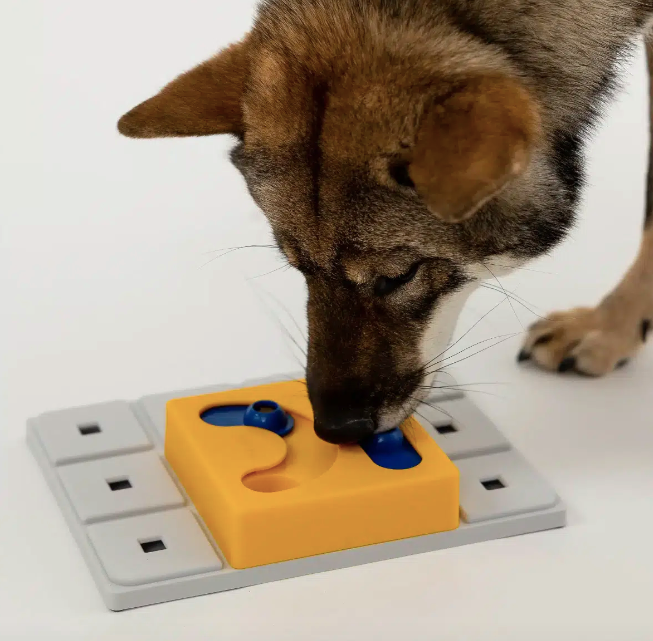 KAYA PAWZLE NIVEAU 2 _ PAWZLER