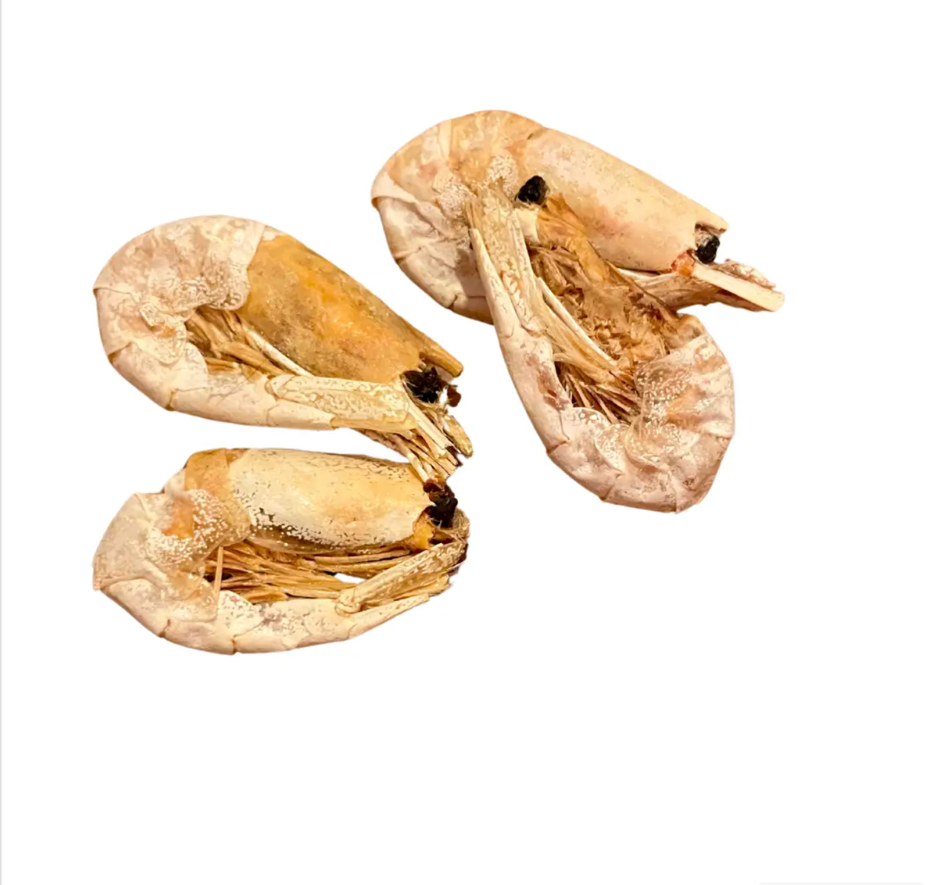 Crevette entières - Friandises naturelles pour chat et chien