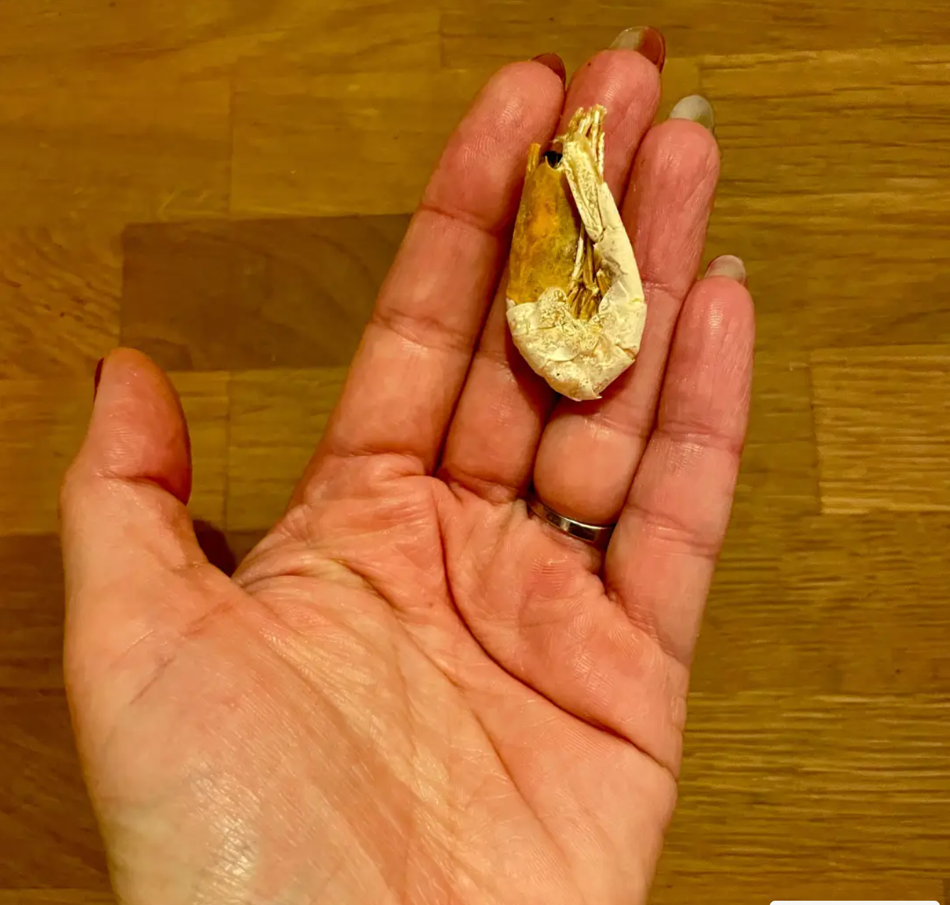 Crevette entières - Friandises naturelles pour chat et chien