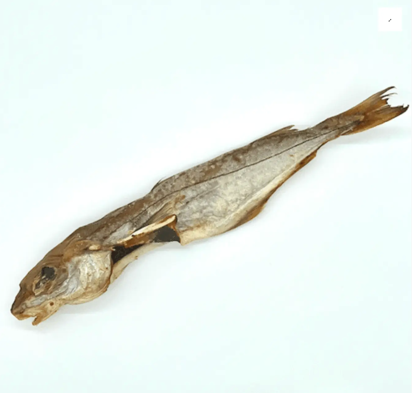 Eglefin - Friandise naturelle pour chien