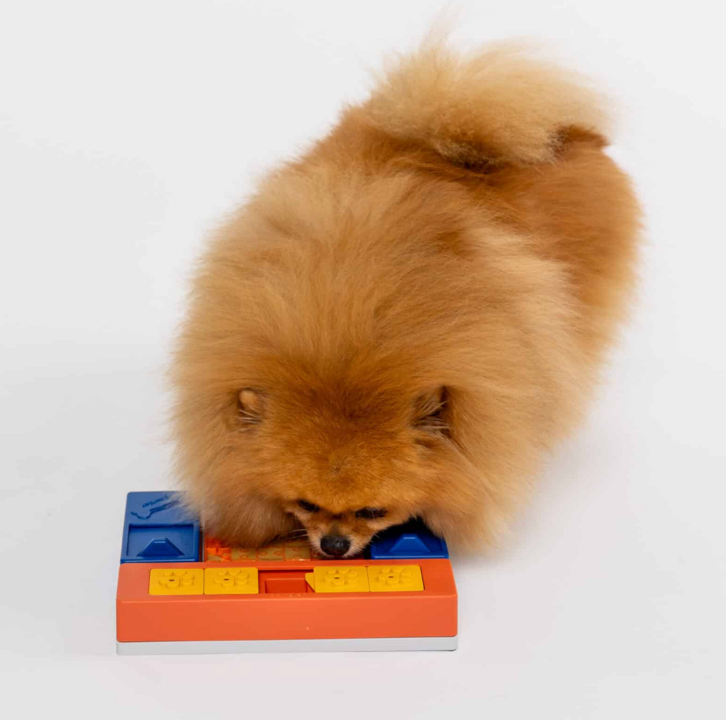 Jeu d'occupation Beginner Set - PAWZLER