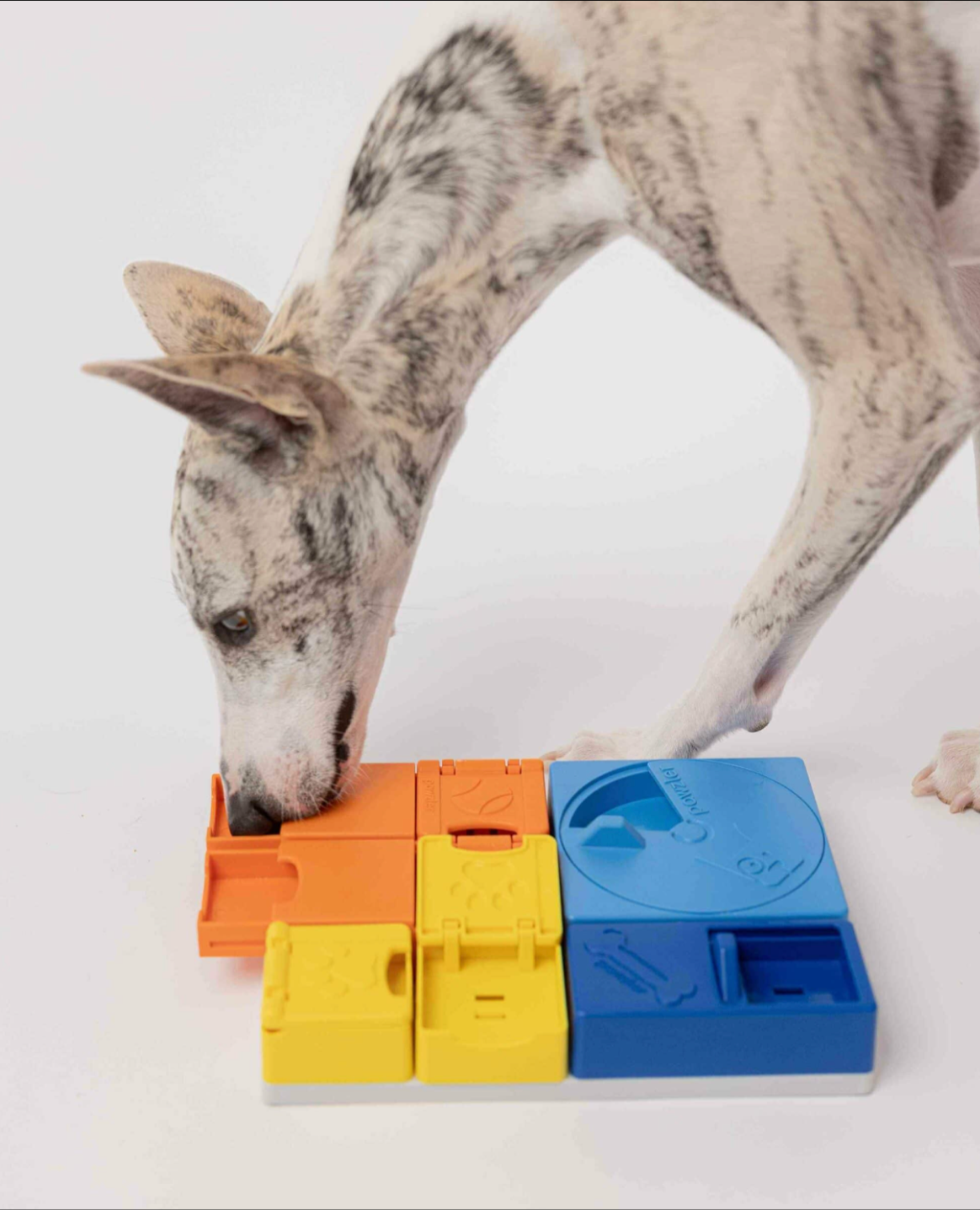 Jeu d'occupation Ensemble Arc en ciel - PAWZLER