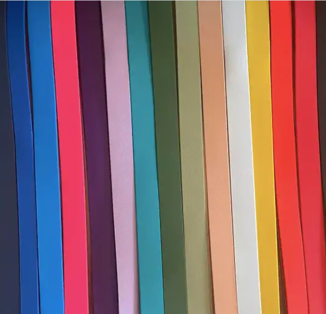 Laisse Funky 120CM 20mm