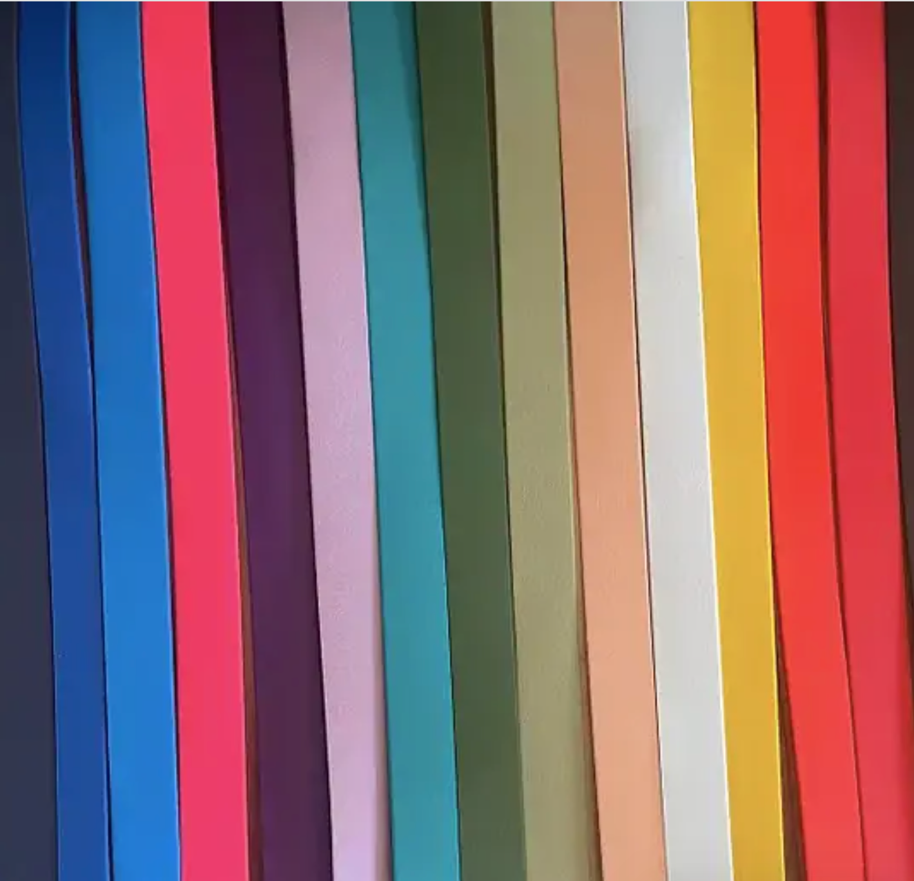 Laisse Funky 120CM 25mm