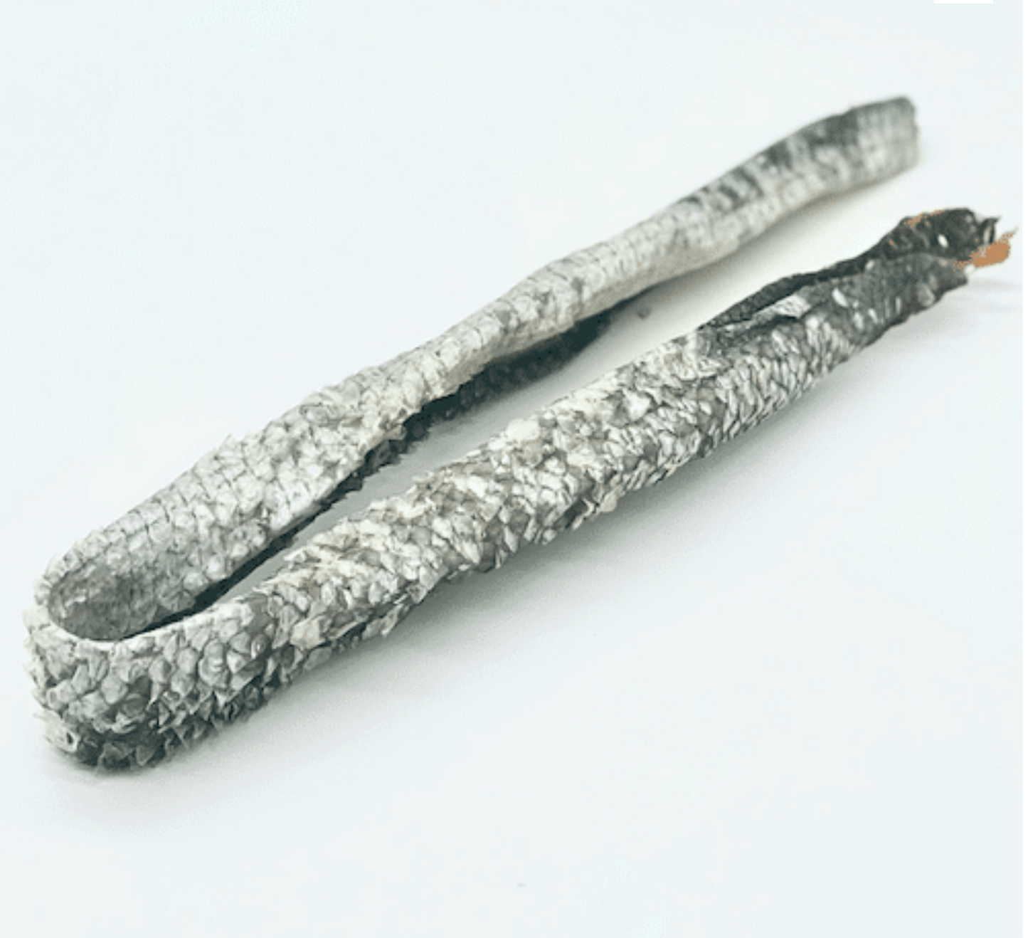 Lanière de peau de saumon - friandise naturelle pour chien