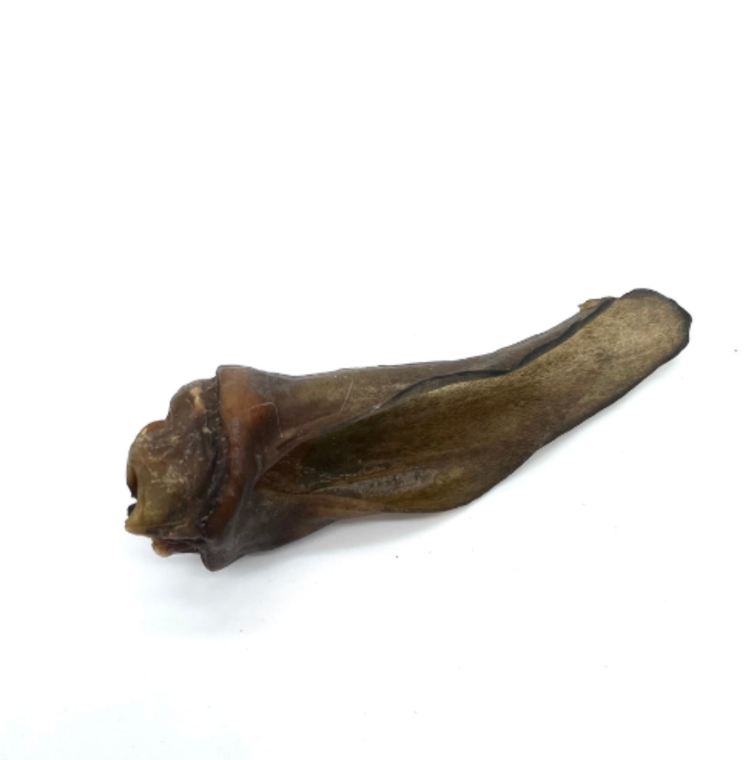 Oreille de biche