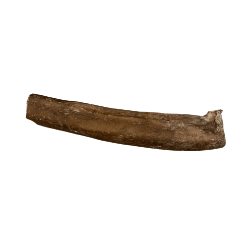 Nerf de boeuf 15cm