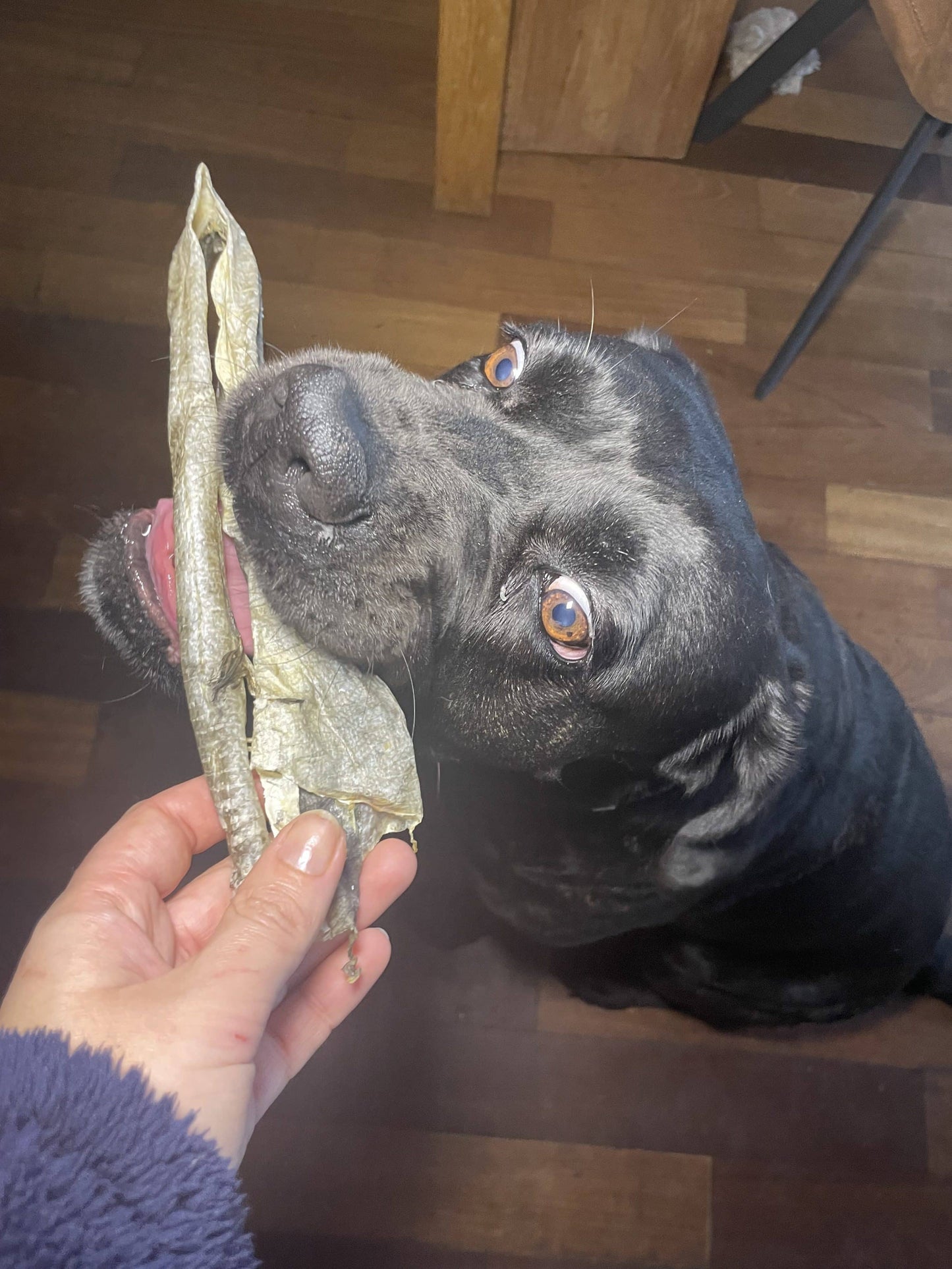 Lanière de Cabillaud