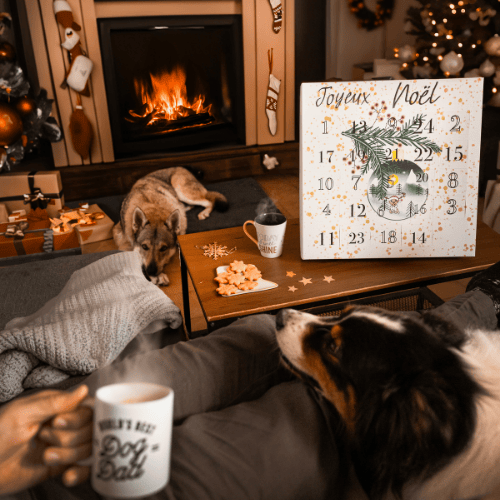 Calendrier de l'avent pour chien