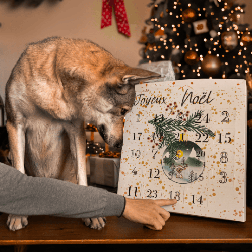 Calendrier de l'avent pour chien