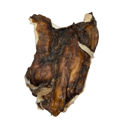 Plaque de peau de boeuf avec poils