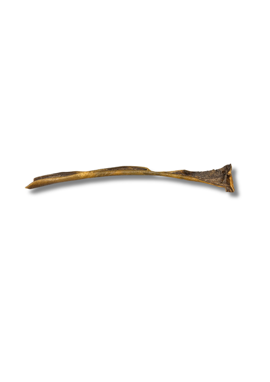 Peau de sanglier 50cm
