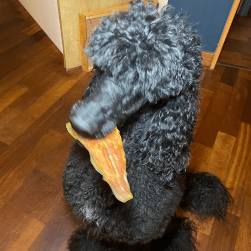 Filet de saumon sauvage