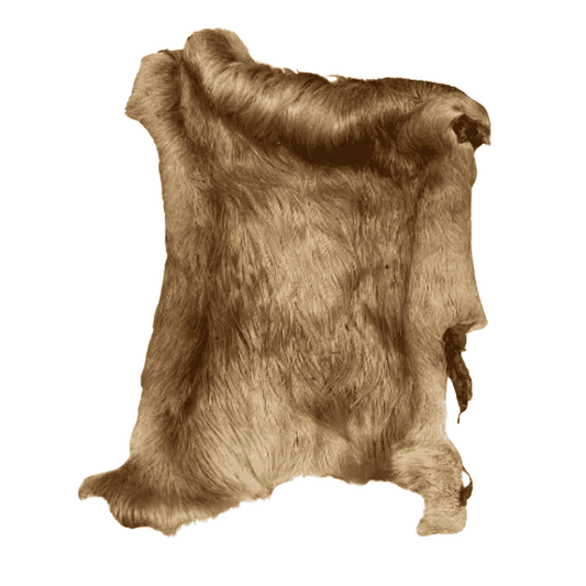 Plaque de peau de boeuf avec poils