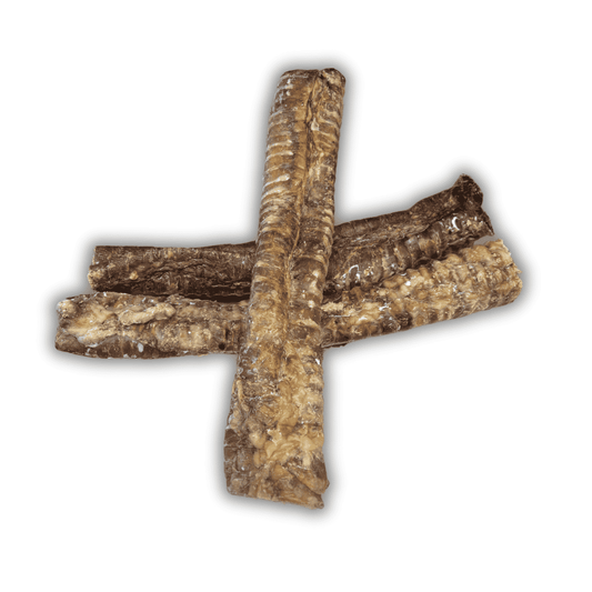 Trachée de boeuf 30cm