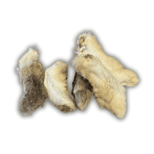 Patte de lapin avec poils