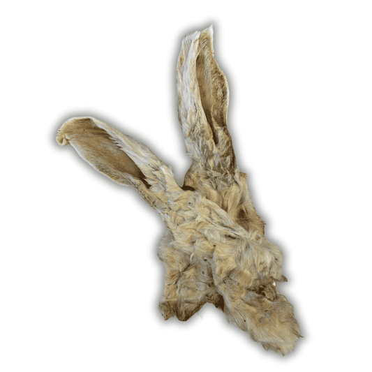 Oreille de lapin avec poil