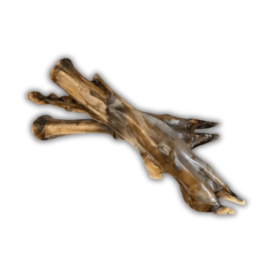 JAMBE D'AGNEAU