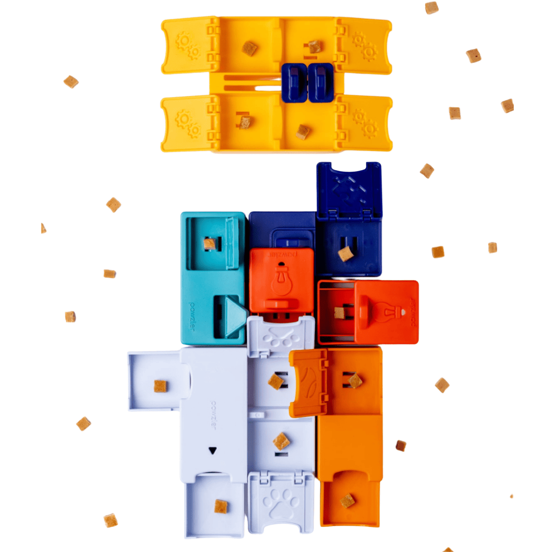 GENIUS SET – PAWZLER