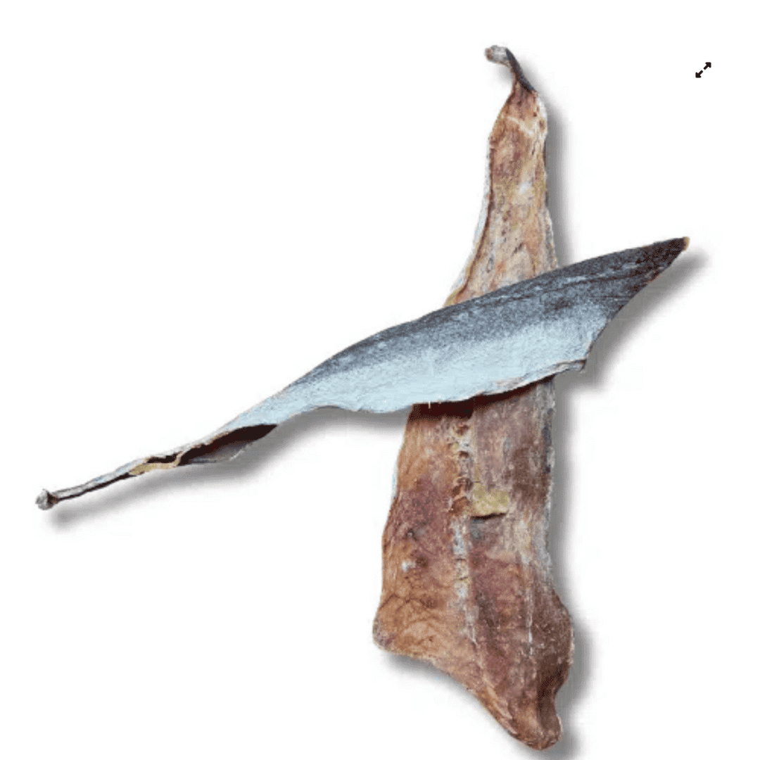 Filet de merlu pour chien