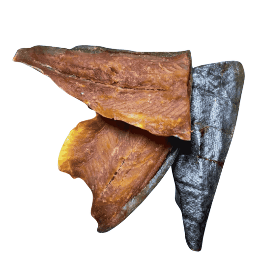 Filet de saumon sauvage