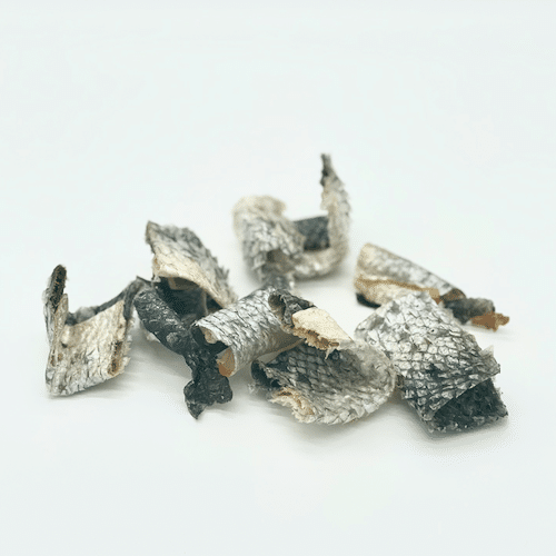 Morceaux de peau de saumon