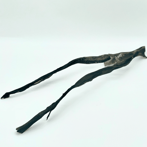 Peau de poisson chat