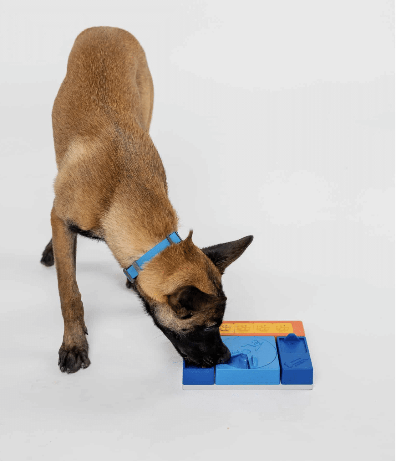 Jeu d'occupation Beginner Set - PAWZLER