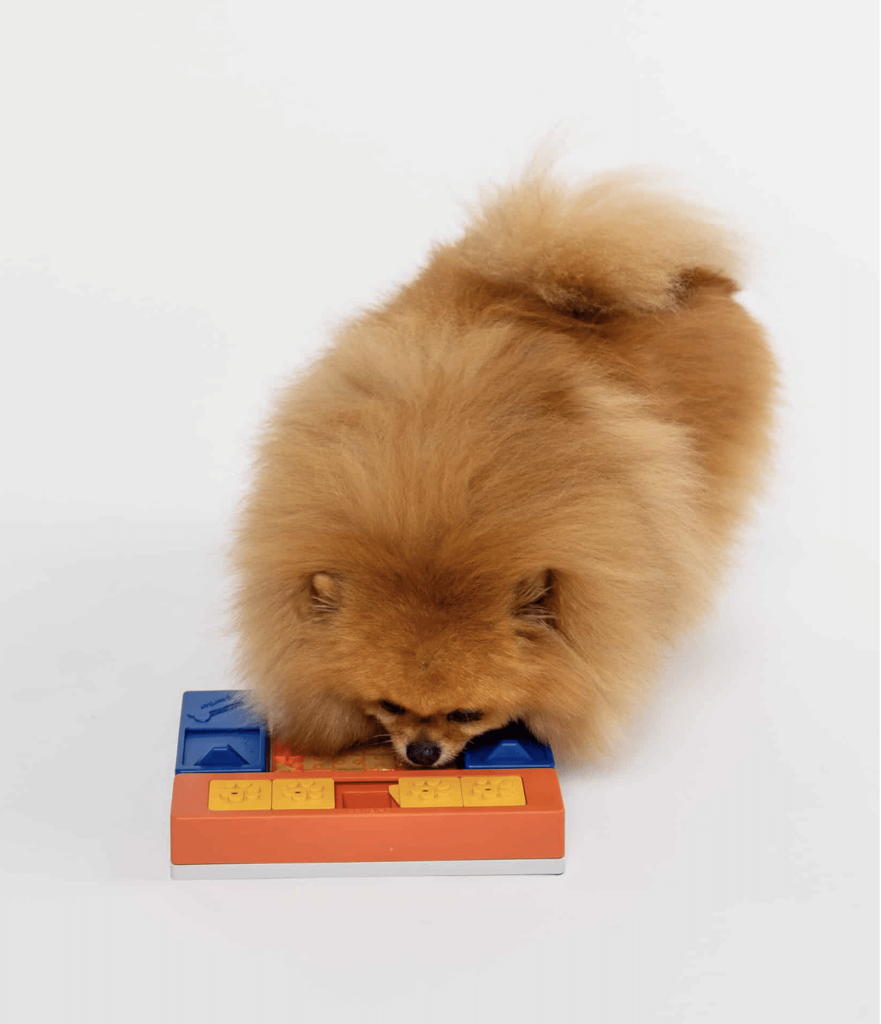 Jeu d'occupation Beginner Set - PAWZLER