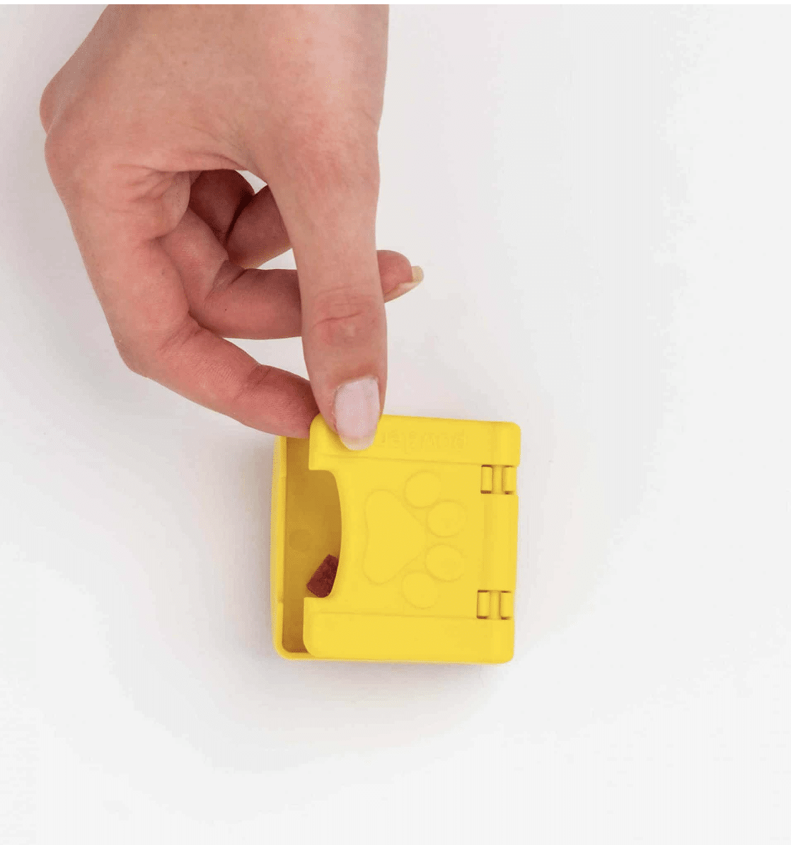 ZOEY PAWZLE NIVEAU 2 _ PAWZLER