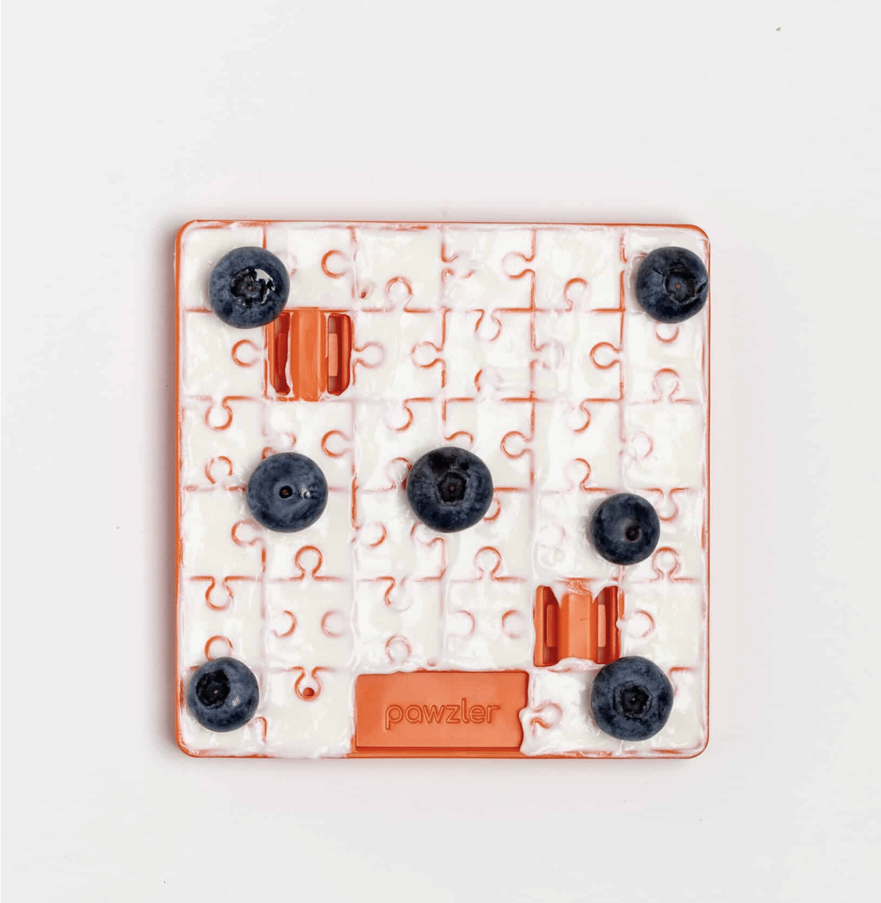 TERRA PAWZLE NIVEAU 1 _ PAWZLER