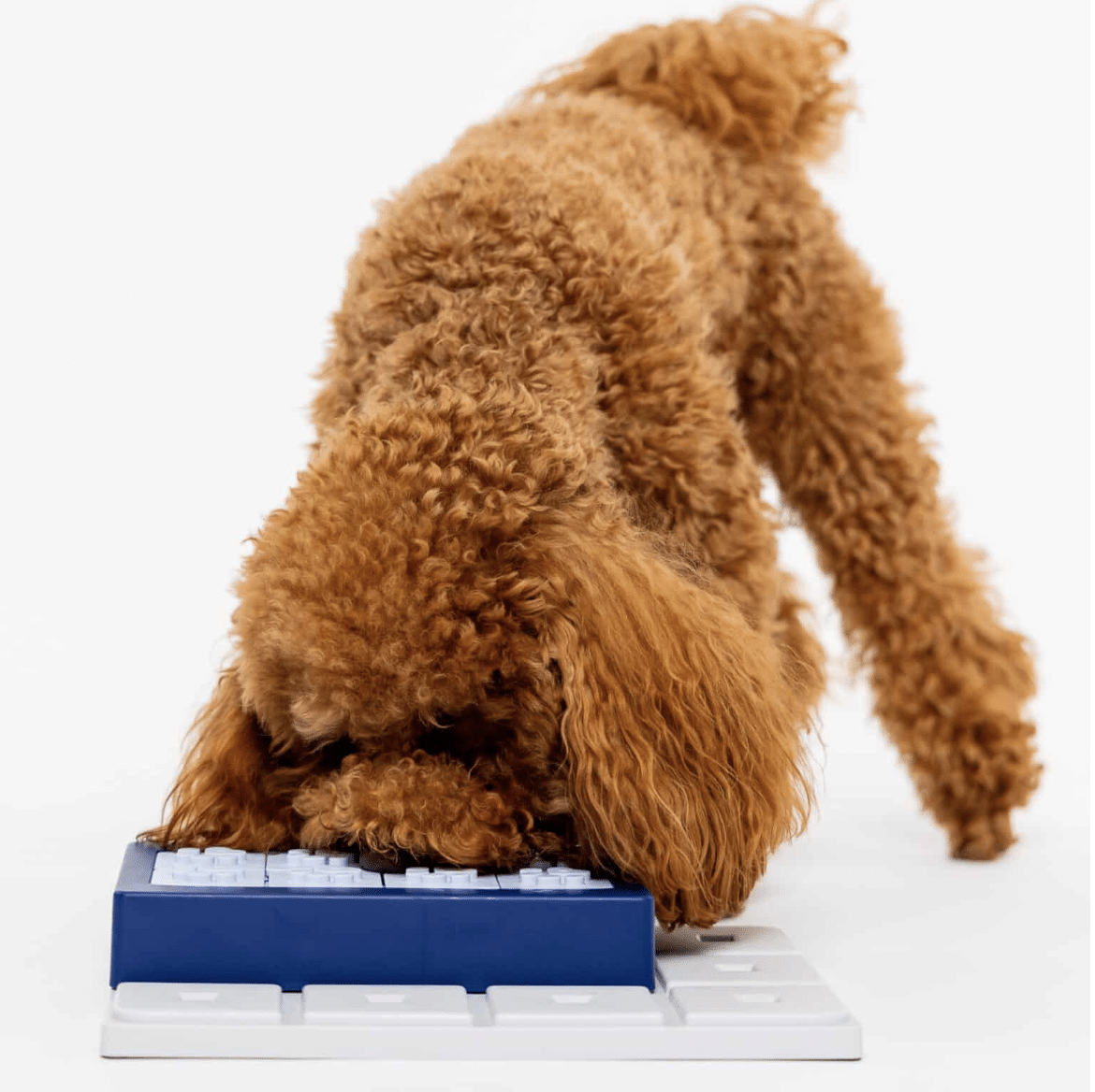 LOUVRE PAWZLE NIVEAU 3_ PAWZLER