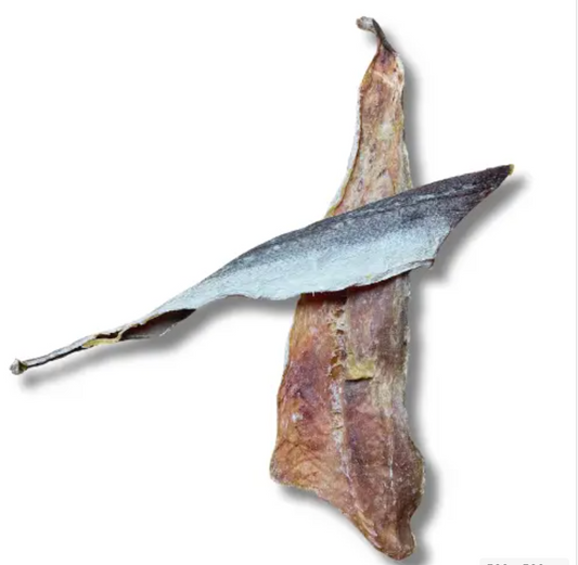 Filet de merlu pour chien