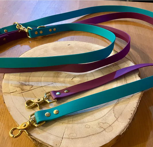 Laisse mains-libres 20mm