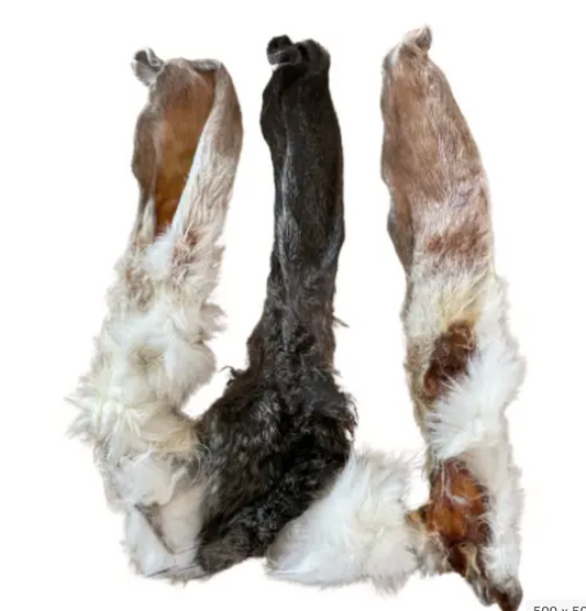 Oreille de lapin avec poil