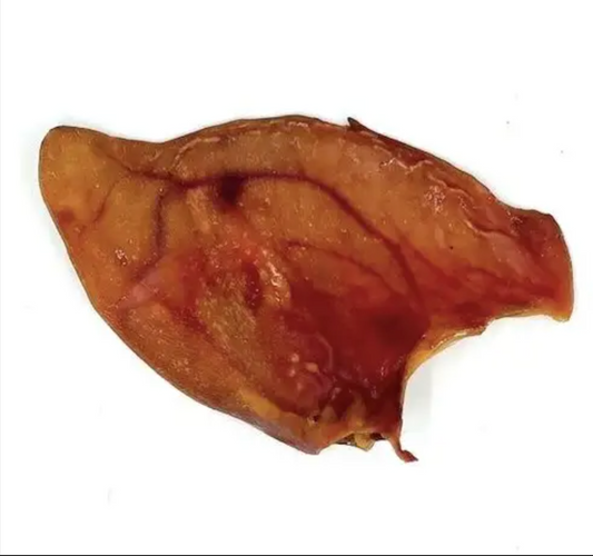 Oreille de porc XL