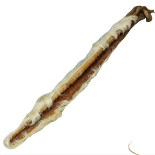 PEAU DE BOEUF AVEC POIL 50CM