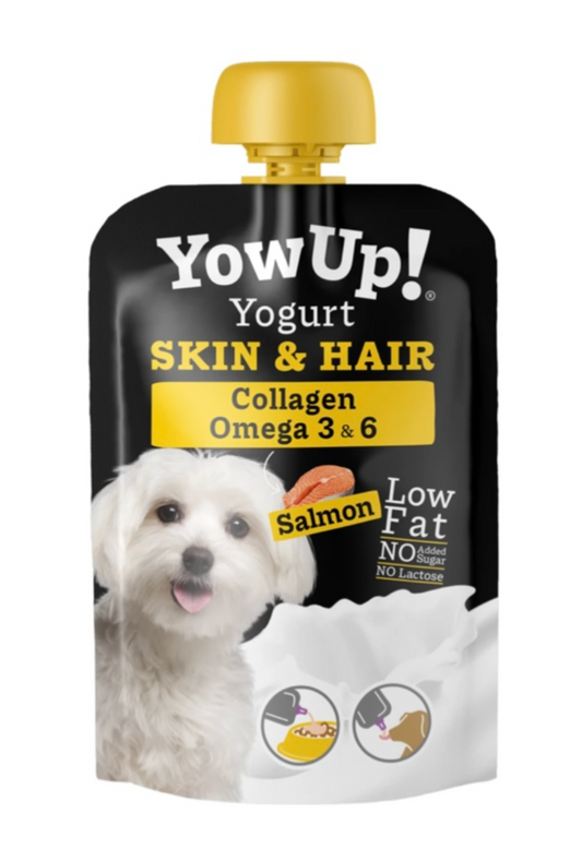 Yowup yaourt au saumon – peau et pelage LOT DE 10