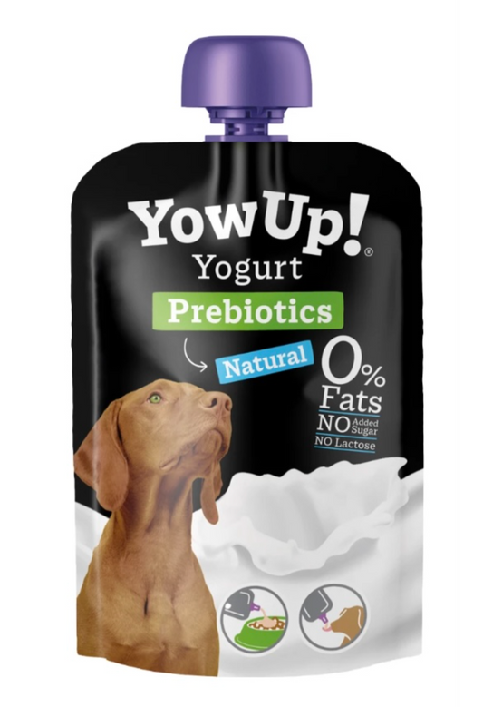Yowup yaourt naturel Prébiotique LOT DE 10