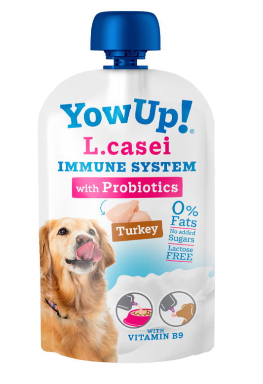 Yowup L.Casei systeme immunitaire LOT DE 10