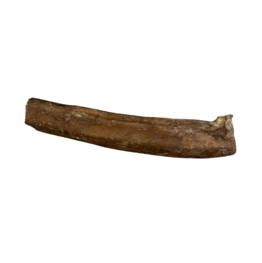 Nerf de boeuf 15cm