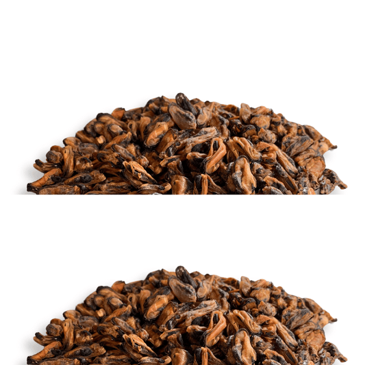 Moules séchées - friandises pour chien et chat