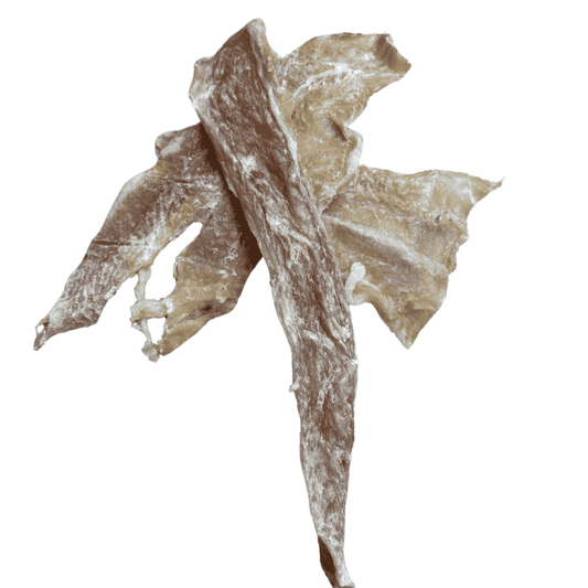 Filet de panga