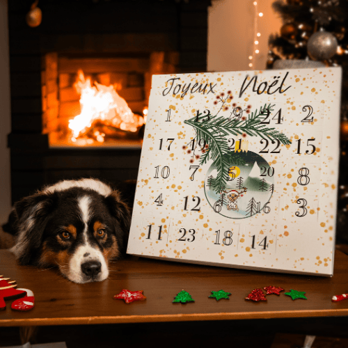 Calendrier de l'avent pour chien