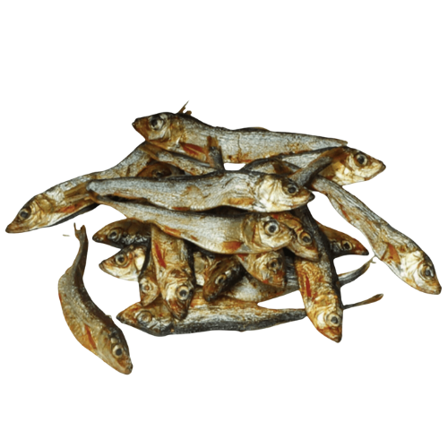 Sprat